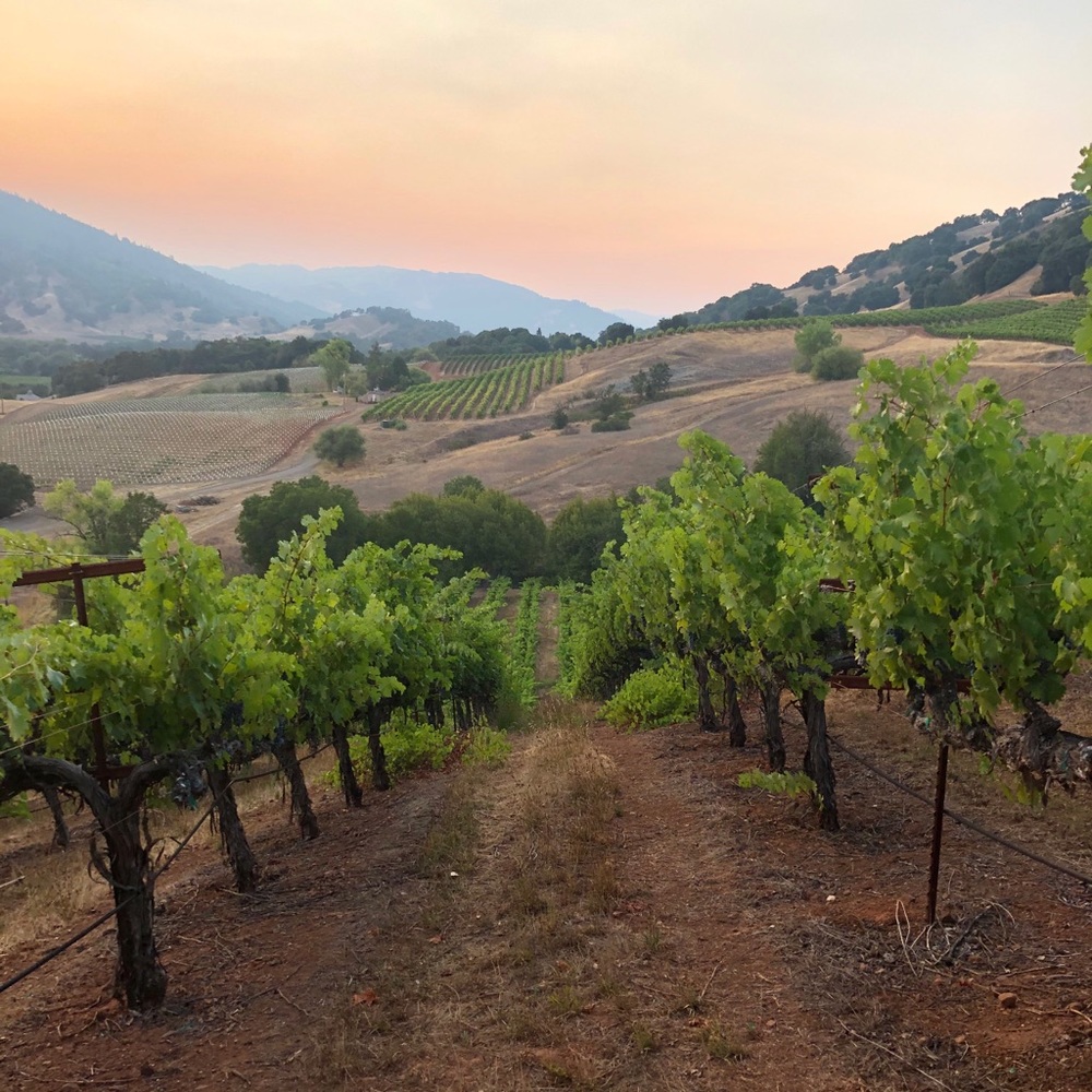 Meet your Posher, Miguel